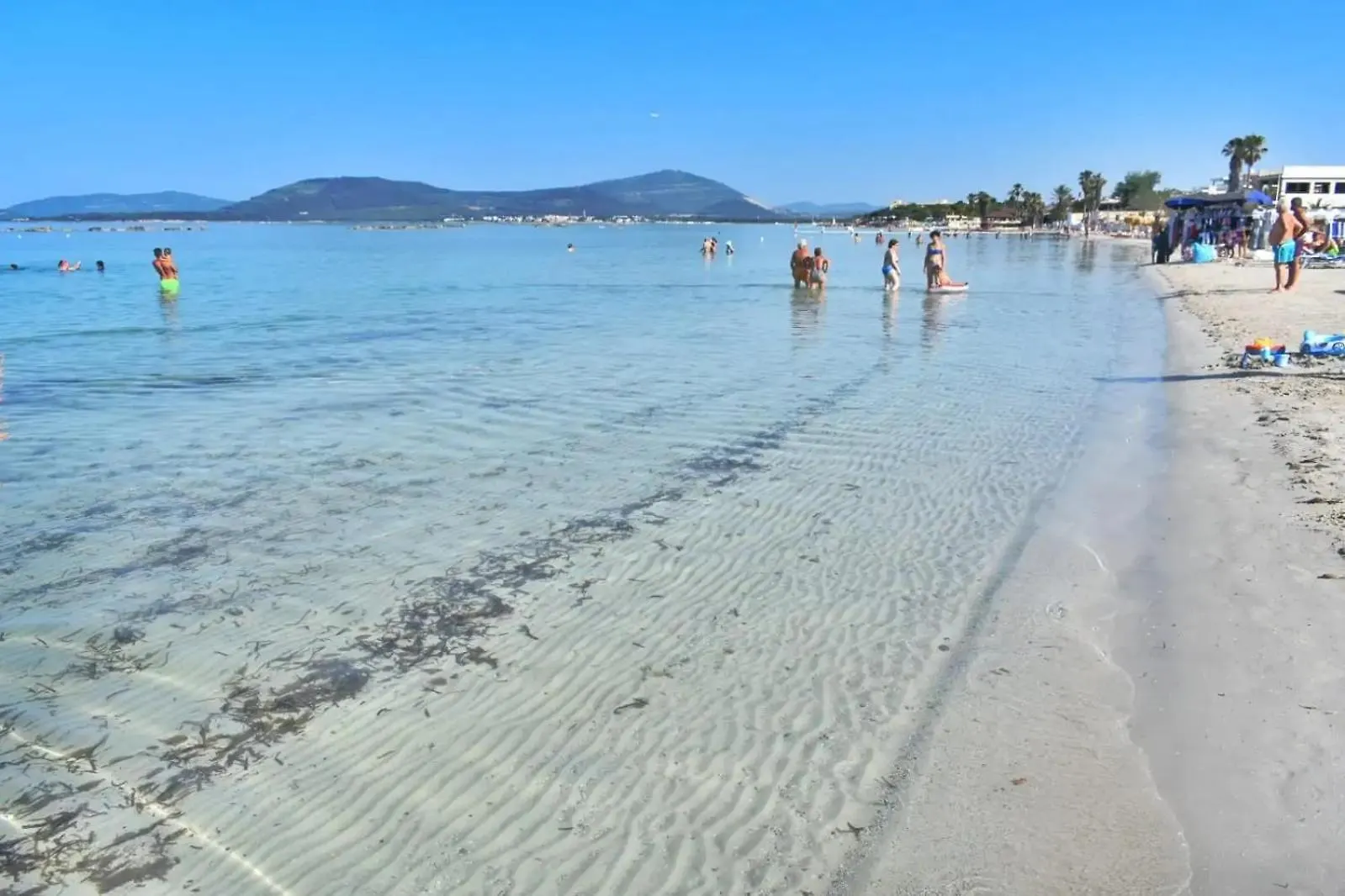 アパート Fartos Spiaggia Di アルゲーロ